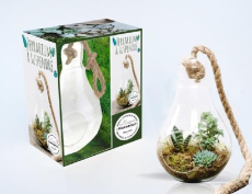 Bubble terrarium. Coffret avec 1 terrarium en verre, 1 corde et 1 livre - Chapman Baylor ; Green Paige