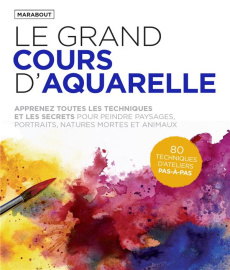 Le grand cours d'aquarelle - Mitjaville Chantal ; Palfrey Valentine