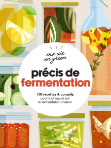 Précis de fermentation. 100 recettes & conseils pour tout savoir sur la fermentation maison - Green Fern ; Hwang Caroline ; Rooney Deirdre ; Sto
