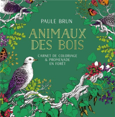 Animaux des bois. Carnet de coloriage & promenade en forêt - Brun Paule