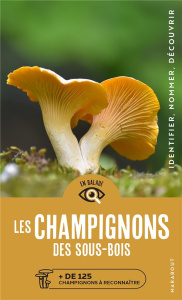 Les champignons des sous bois. de 125 champignons à reconnaître - Flück Markus ; Malherbet Pierre