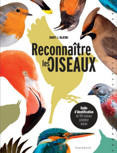 Reconnaître les oiseaux. Guide d'identification de 100 oiseaux grandeur nature - Hajeski Nancy J. ; Casse-Castric Emmanuelle
