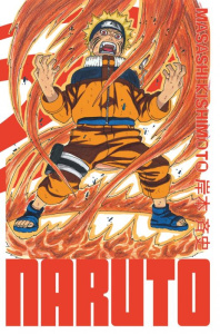 Naruto Edition Hokage Tome 13 - Kishimoto Masashi ; Bigini Sébastien ; Lucas Sophi