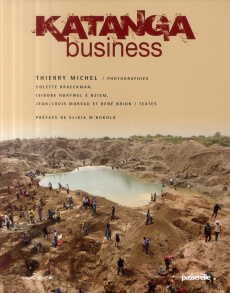 Katanga Business - Michel Thierry - Braeckman Colette - Ndaywel è Nzi