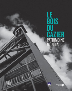 La catastrophe du Bois du Cazier : 8 août 1956 - Forti Alain ; Joosten Christian