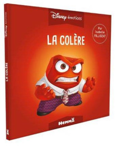 La colère. Avec 1 cahier d'exercices pratiqués - Filliozat Isabelle