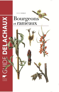 Bourgeons et rameaux - Schulz Bernd ; Terrisse Jean