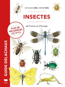 Insectes de France et d'Europe - Dierl Wolfgang ; Ring Werner