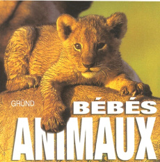 Bébés animaux - Ildos Angela Serena ; Breffort Cécile