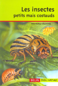 Les insectes petits mais costauds - VERDIER JEAN-LOUIS