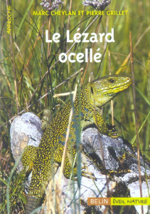 Le Lézard ocellé - Cheylan Marc ; Grillet Pierre