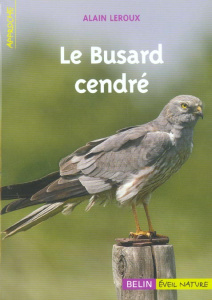 Le Busard cendré - Leroux Alain