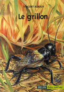 Le grillon - Albouy Vincent