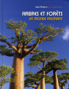 Arbres et forêts. Un monde fascinant - Parret Jean
