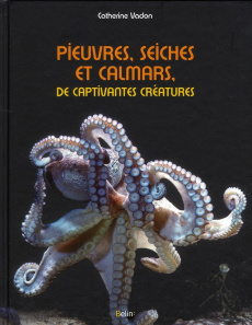 Pieuvres, seiches et calmars, de captivantes créatures - Vadon Catherine