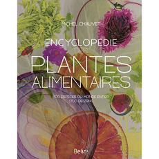 Encyclopédie des plantes alimentaires - Chauvet Michel