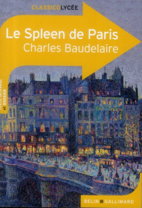 Le Spleen de Paris - Baudelaire Charles ; Rivoal Caroline