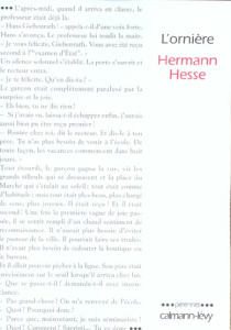 L'ornière - Hesse Hermann ; Jumel Lily