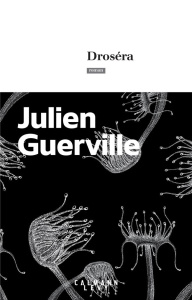 Droséra - Guerville Julien