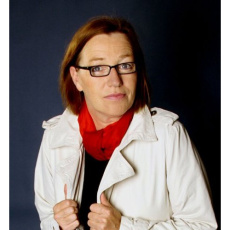 Le violoniste - Borrmann Mechtild ; Roussel Sylvie