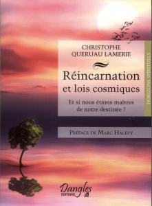 Réincarnation et lois cosmiques. Et si nous étions maîtres de notre destinée ? - Queruau Lamerie Christophe ; Halévy Marc