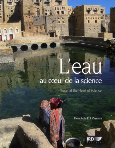 L'eau au coeur de la science. Edition bilingue français-anglais - Gout Claire ; Chevallier Pierre ; Servat Eric ; Po