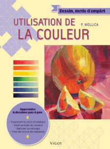 Utilisation de la couleur - Mollica Patti