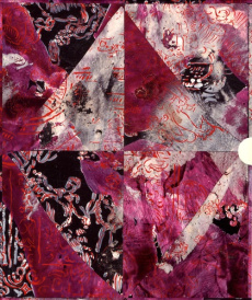 Rouan le peintre ; Tombeau de Francesco Primaticcio. Coffret en 2 volumes - Rouan François ; Cordellier Dominique