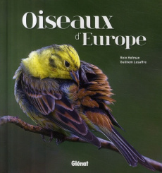 Oiseaux d'Europe - Hofman Rein ; Lesaffre Guilhem