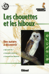 Les chouettes et les hiboux - Veillet Emmanuelle, Veillet Bruno,Nouailhat Alexis
