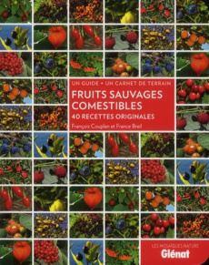 Fruits sauvages comestibles. 40 recettes originales, un guide un carnet de terrain - Couplan François ; Breil France