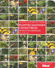 Plantes sauvages comestibles. 40 recettes originales - Bérendès Pascale