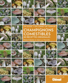 Champignons comestibles. 40 recettes originales - Sabatier Roland ; Fasciotto Jean-Luc