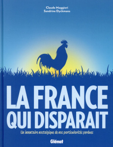 LA FRANCE QUI DISPARAIT - MAGGIORI/DYCKMANS