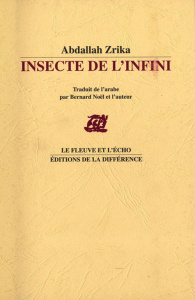 Insecte de l'infini - Zrika Abdallah ; Noël Bernard