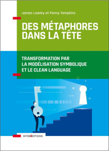 Des métaphores dans la tête. Transformation par la Modélisation Symbolique et le Clean Language - Lawley James ; Tompkins Penny ; Boucherle Ariane ;
