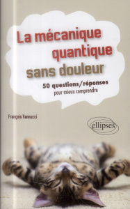 La mécanique quantique sans douleur. 50 questions/réponses pour mieux comprendre - Vannucci François