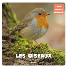 Les oiseaux - David Patrick
