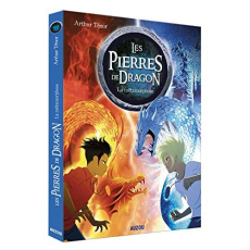 Les pierres de dragon Tome 1 : La métamorphose - Ténor Arthur