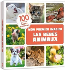 Les bébés animaux - Aubert Irena