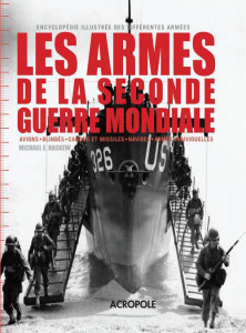 Les armes de la Seconde Guerre mondiale - Haskew Michael ; Reverchon Christophe
