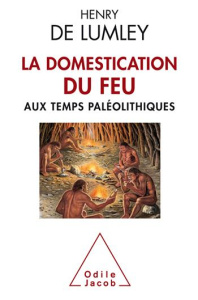 La Domestication du feu aux temps paléolithiques - Lumley Henry de