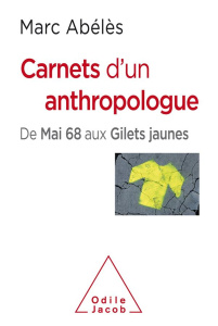 Carnets d'un anthropologue. De Mai 68 aux Gilets jaunes - Abélès Marc