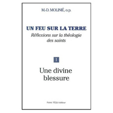 Un feu sur la terre. Tome 1, Une divine blessure - Molinié Marie-Dominique