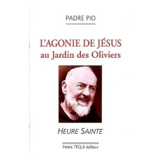 L'agonie de Jésus au Jardin des Oliviers. Heure sainte - PIO DA PIETRELCINA