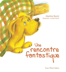 Une rencontre fantastique - Bazin Martine ; Poirier Laëtitia