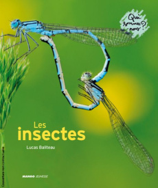 Les insectes - Baliteau Lucas
