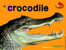 Le crocodile - GREEN DREAMING