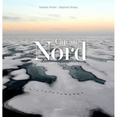 Cap au nord. Navigation dans les glaces de l'Arctique - Michel Nathalie ; Niveau Stéphane