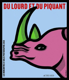 Les rencontres d'Arles photographie 2010. Du lourd et du piquant, 41e édition - COLLECTIF